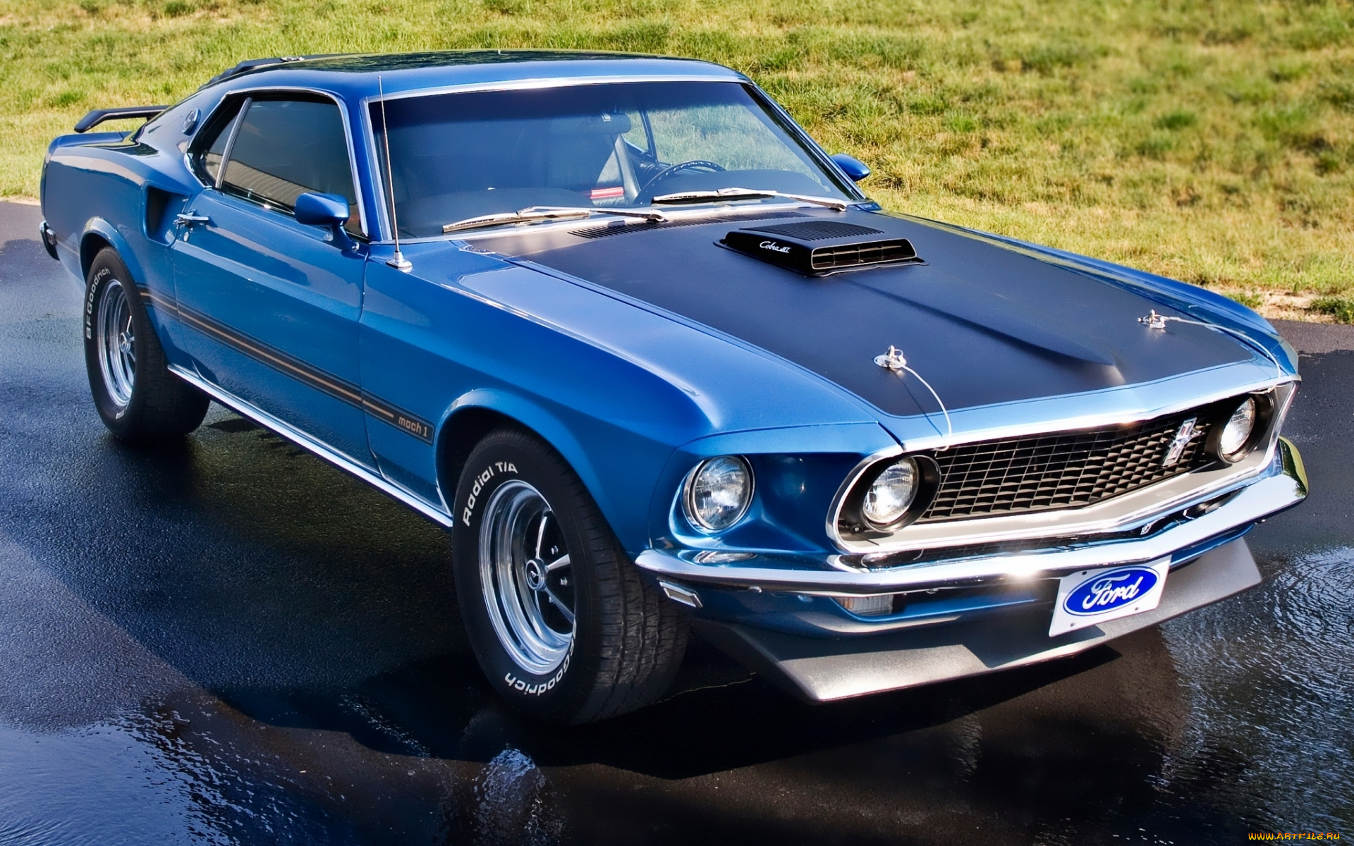 , mustang, mach, 1, 1969, ford